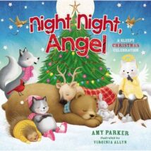 Night Night Angel - a sleepy christmas celebration book